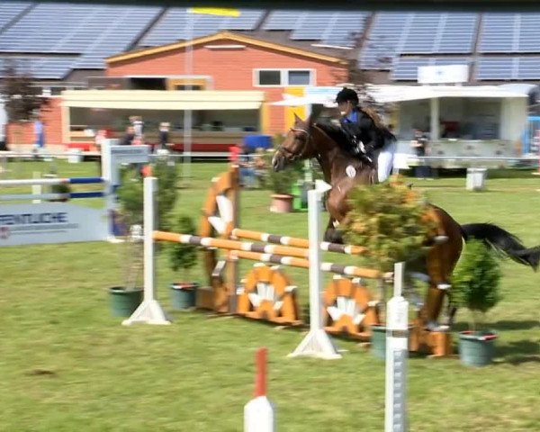 Reitertage Holdorf 2014