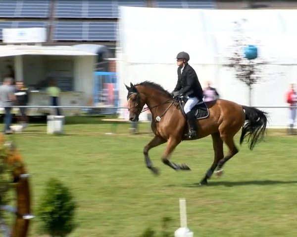 Reitertage Holdorf 2014