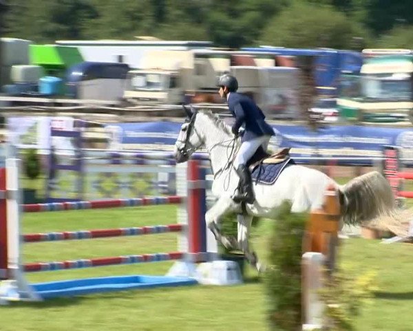 Reitertage Holdorf 2014