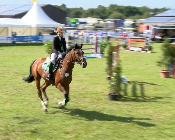 Reitertage Holdorf 2014