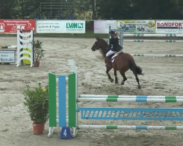 Bad Rothenfelder Reitertage 2014