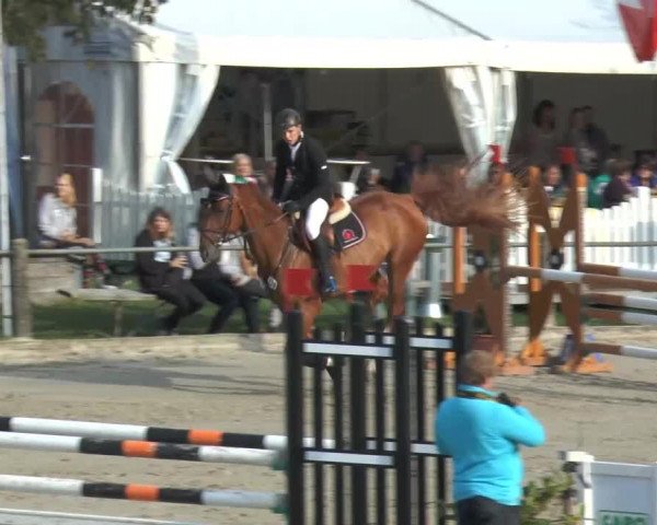 Bad Rothenfelder Reitertage 2014