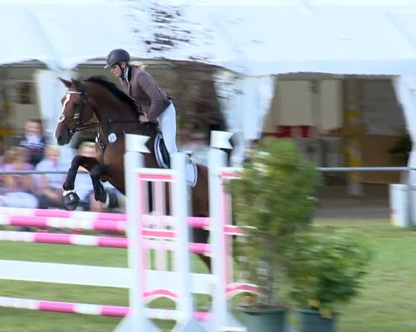 Reitertage Holdorf 2014