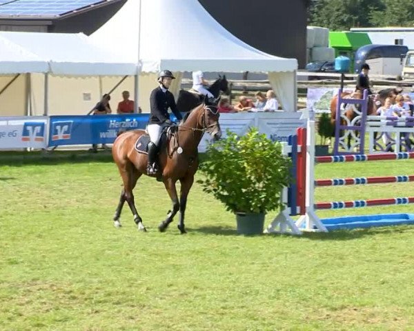 Reitertage Holdorf 2014