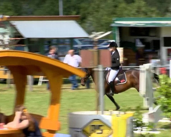 Reitertage Holdorf 2014