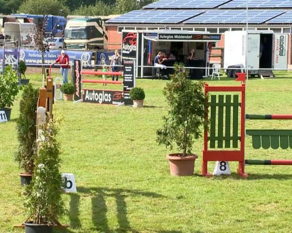 Reitertage Holdorf 2014