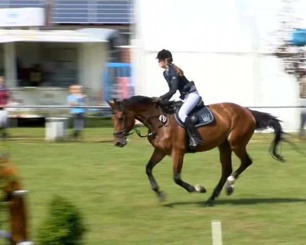 Reitertage Holdorf 2014
