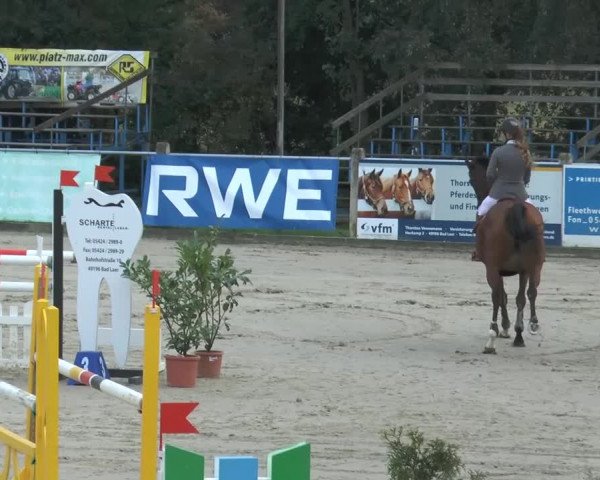 Bad Rothenfelder Reitertage 2014