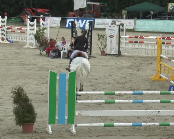 Bad Rothenfelder Reitertage 2014