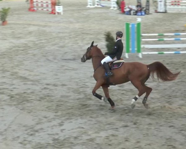 Bad Rothenfelder Reitertage 2014
