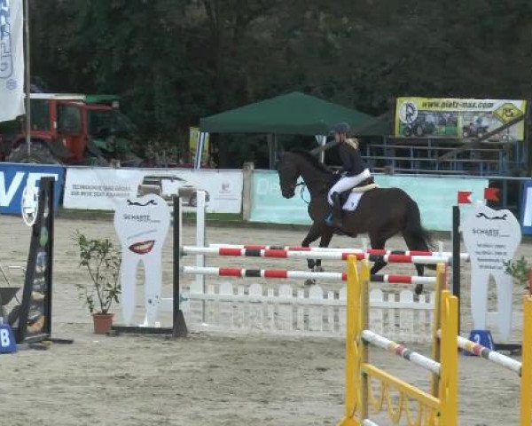 Bad Rothenfelder Reitertage 2014