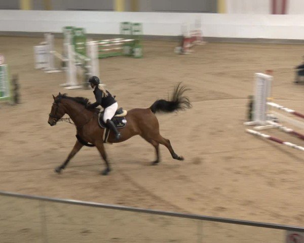 Reitturnier Stadl-Paura 2025