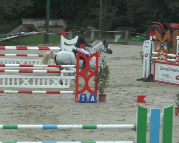 Bad Rothenfelder Reitertage 2014