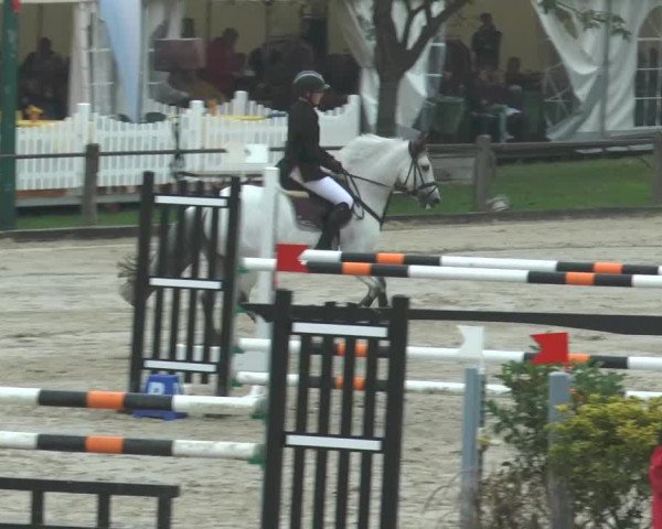 Bad Rothenfelder Reitertage 2014