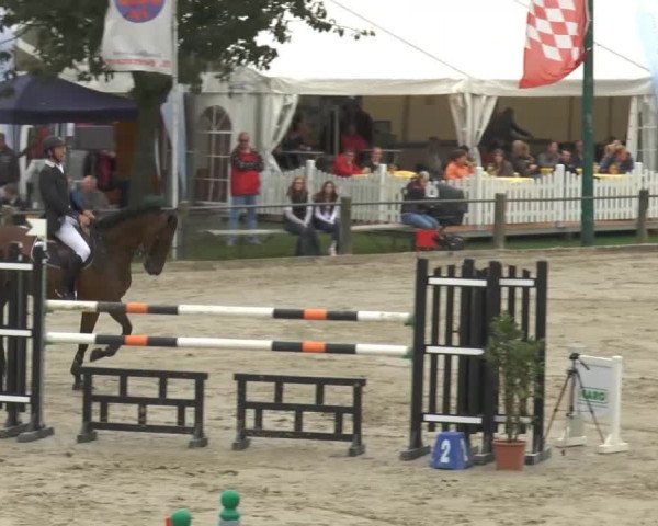 Bad Rothenfelder Reitertage 2014