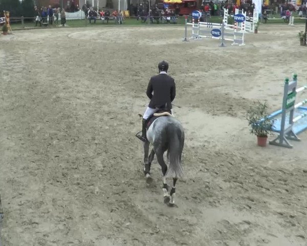 Bad Rothenfelder Reitertage 2014
