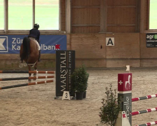 Reitturnier Rüti 2025