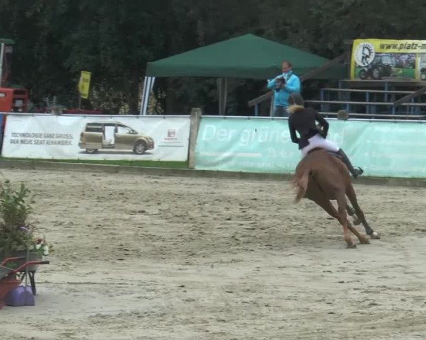 Bad Rothenfelder Reitertage 2014