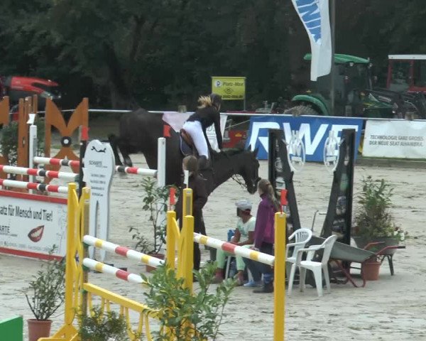 Bad Rothenfelder Reitertage 2014
