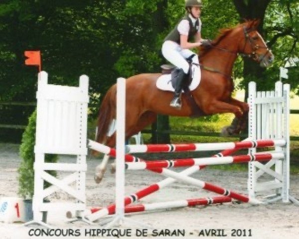 broodmare Rainette Floreval (Selle Français, 2005, from For Pleasure)