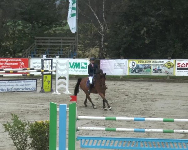 Bad Rothenfelder Reitertage 2014