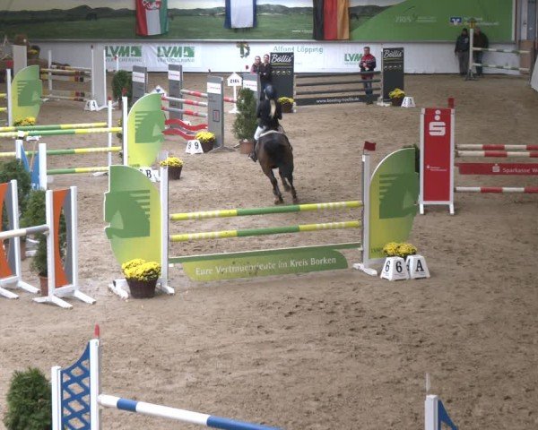 Reitturnier Legden | Ponyturnier 2025