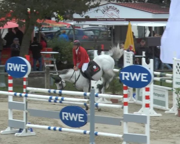 Bad Rothenfelder Reitertage 2014