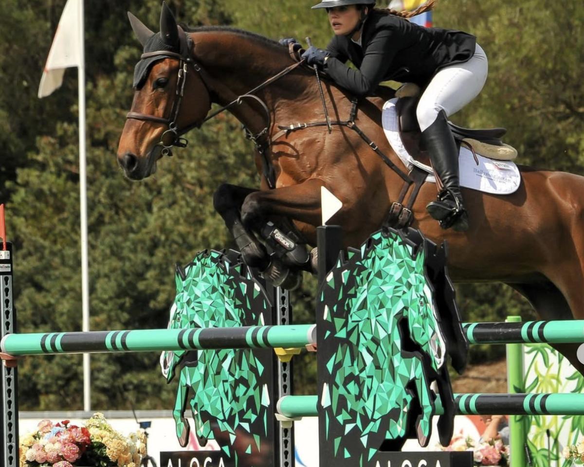 Daimond Classic: Cheval, Pedigree