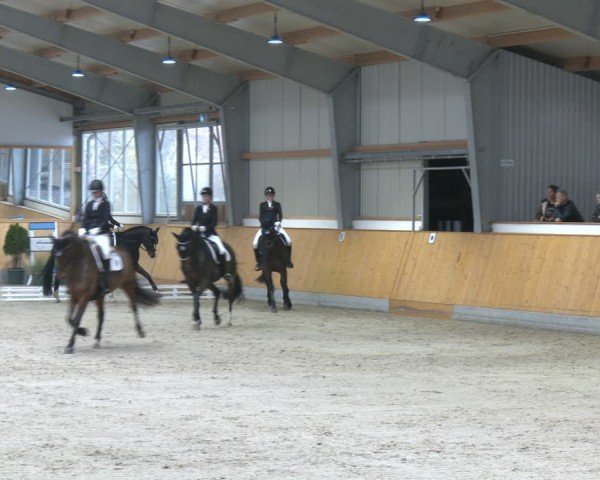 Reitturnier Münster-Amelsbüren 2025