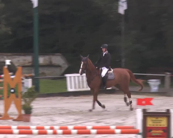 Bad Rothenfelder Reitertage 2014