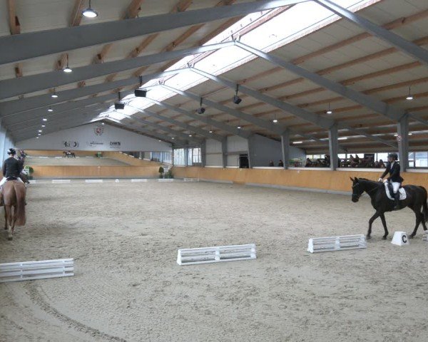 Reitturnier Münster-Amelsbüren 2025