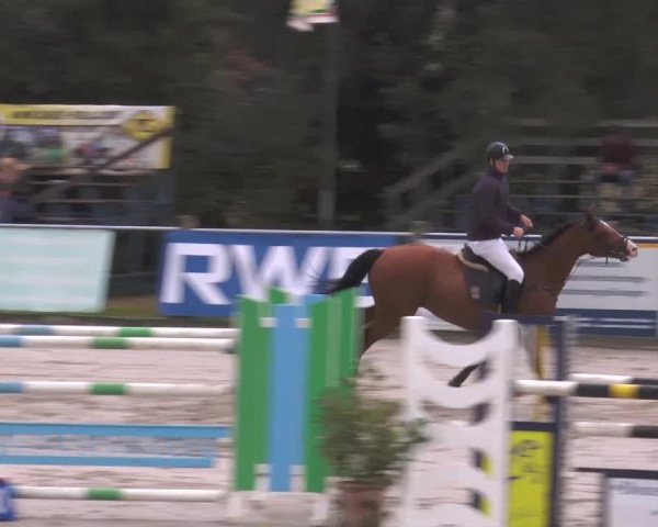 Bad Rothenfelder Reitertage 2014