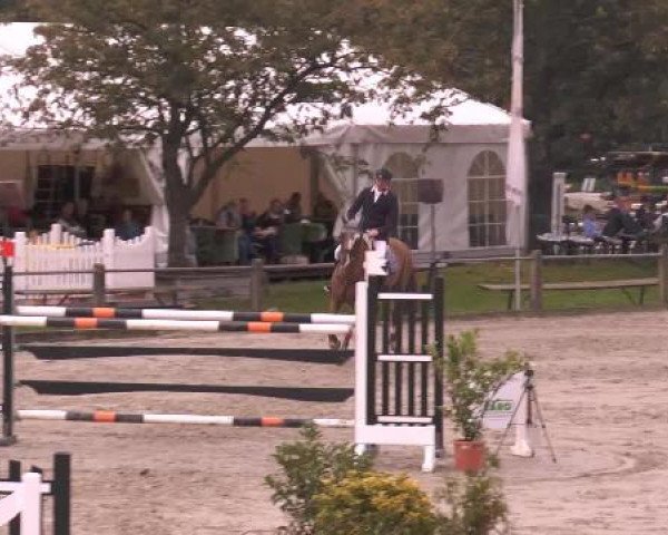 Bad Rothenfelder Reitertage 2014