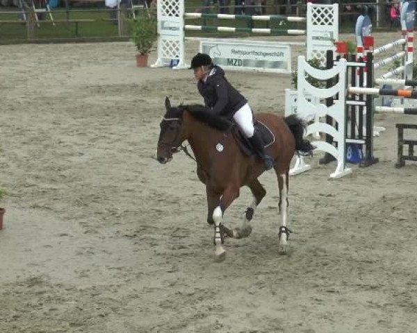 Bad Rothenfelder Reitertage 2014
