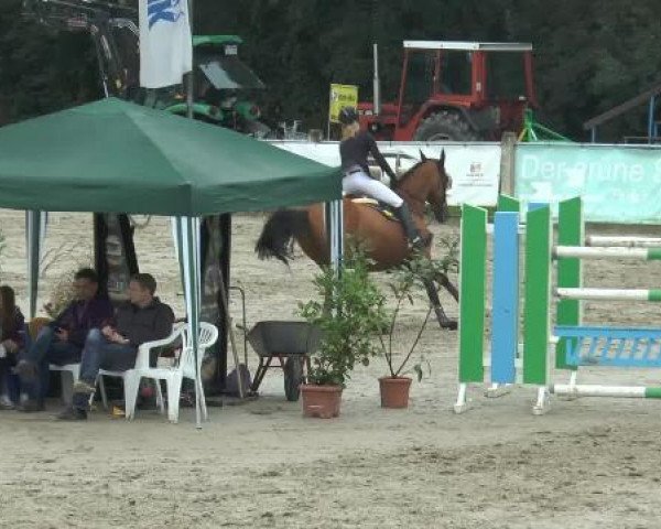 Bad Rothenfelder Reitertage 2014