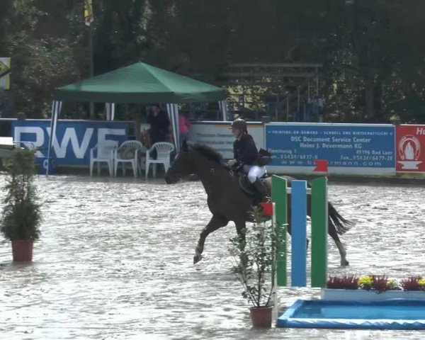 Bad Rothenfelder Reitertage 2014
