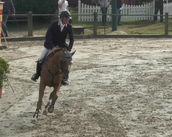 Bad Rothenfelder Reitertage 2014