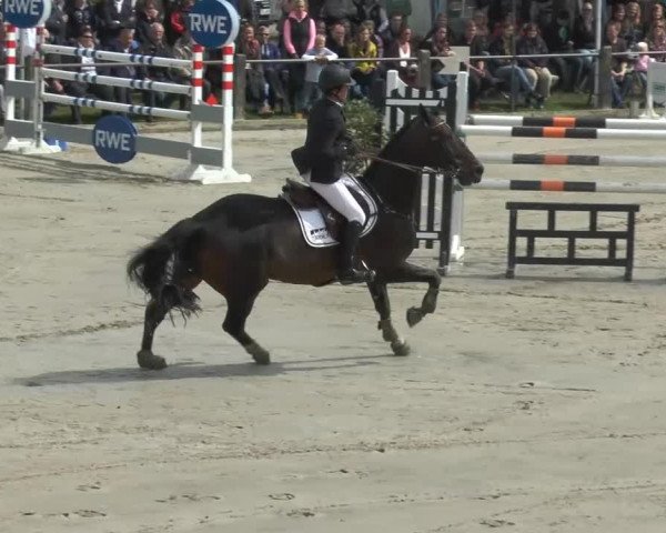 Bad Rothenfelder Reitertage 2014