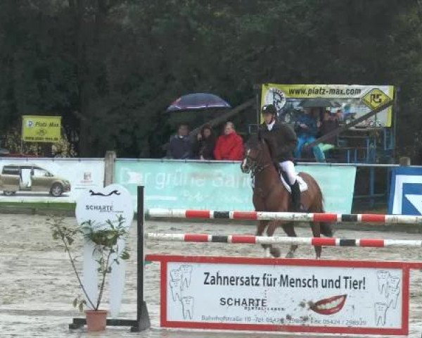 Bad Rothenfelder Reitertage 2014