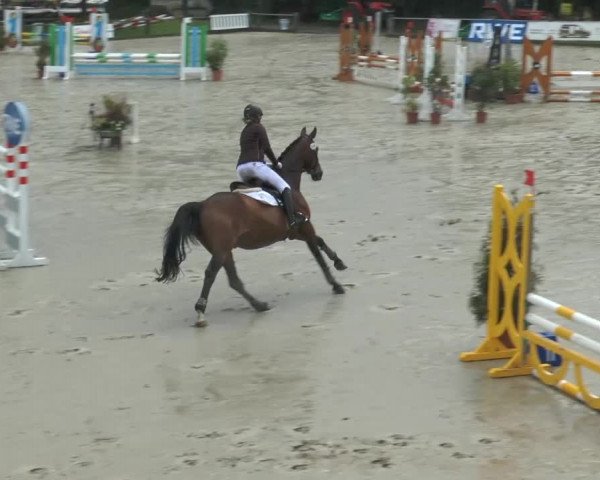 Bad Rothenfelder Reitertage 2014