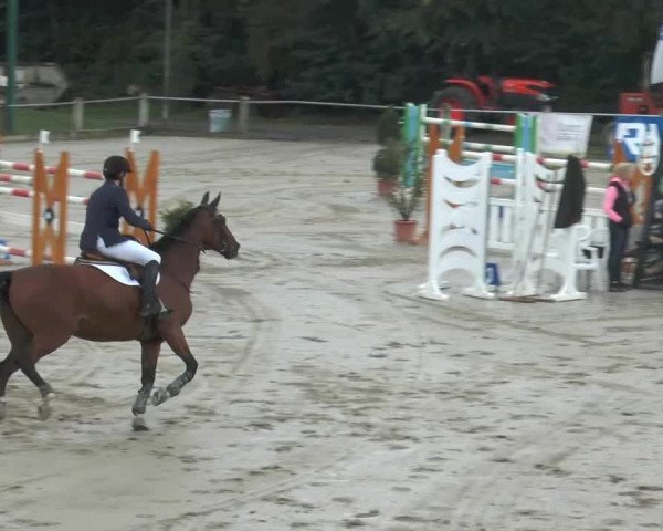 Bad Rothenfelder Reitertage 2014
