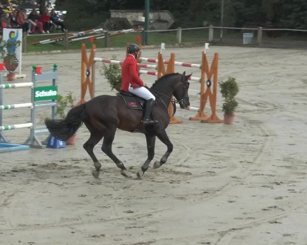 Bad Rothenfelder Reitertage 2014