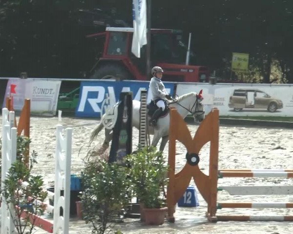 Bad Rothenfelder Reitertage 2014