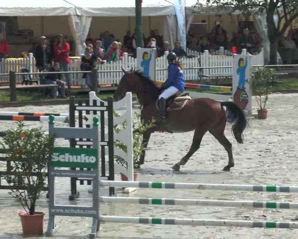 Bad Rothenfelder Reitertage 2014