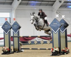 jumper Cool Contendra Blue (Holsteiner, 2013, from Zirocco Blue)
