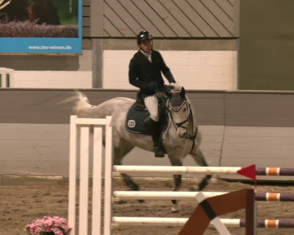 Reitturnier AZL Luhmühlen 2025