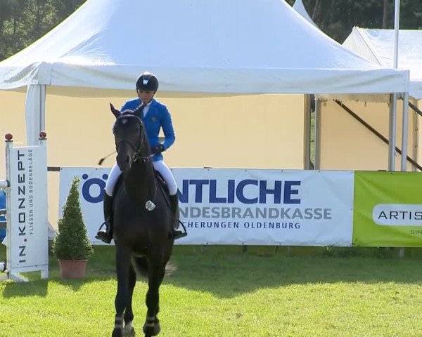 Reitertage Holdorf 2014