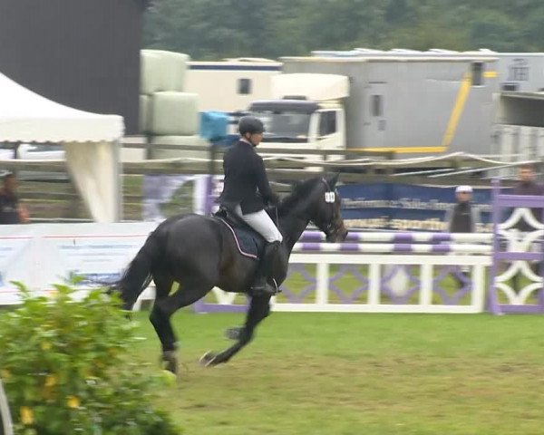 Reitertage Holdorf 2014