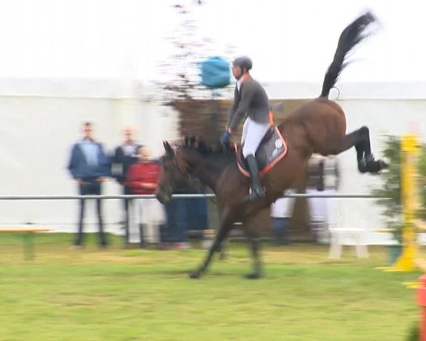 Reitertage Holdorf 2014