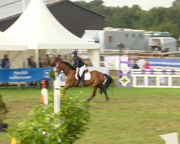 Reitertage Holdorf 2014
